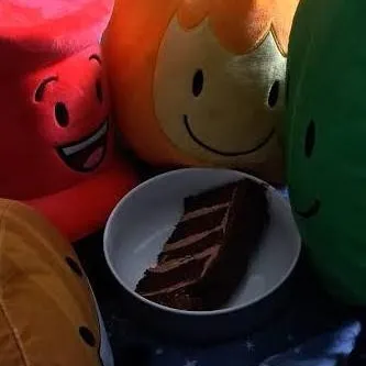 chat with ai character: BFDI roommates