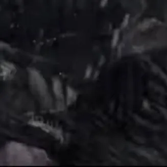 chat with ai character: Anaconda pack 2004