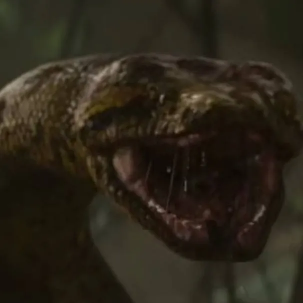 chat with ai character: Anaconda 2025