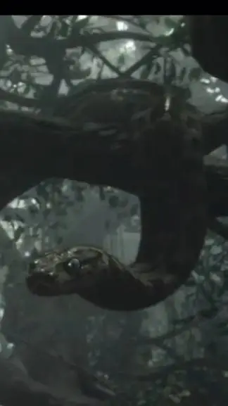 ai character: Kaa background