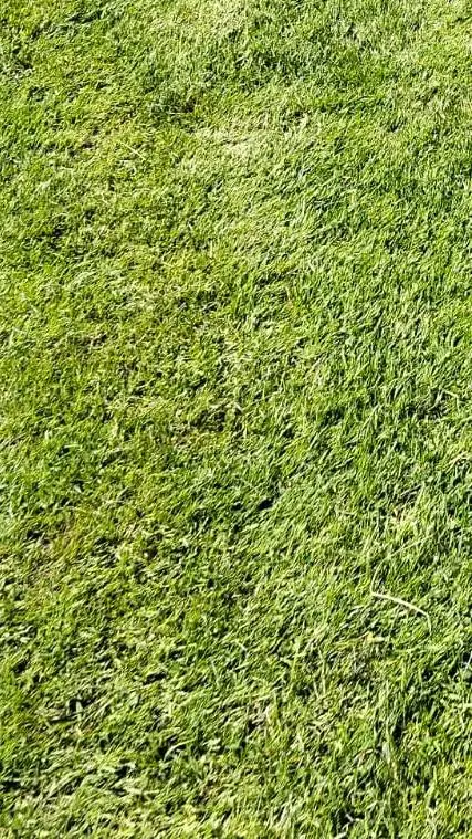 ai character: skz pregnant background