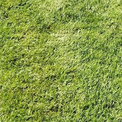 chat with ai character: skz pregnant