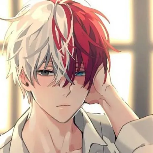 chat with ai character: Shoto Todoroki