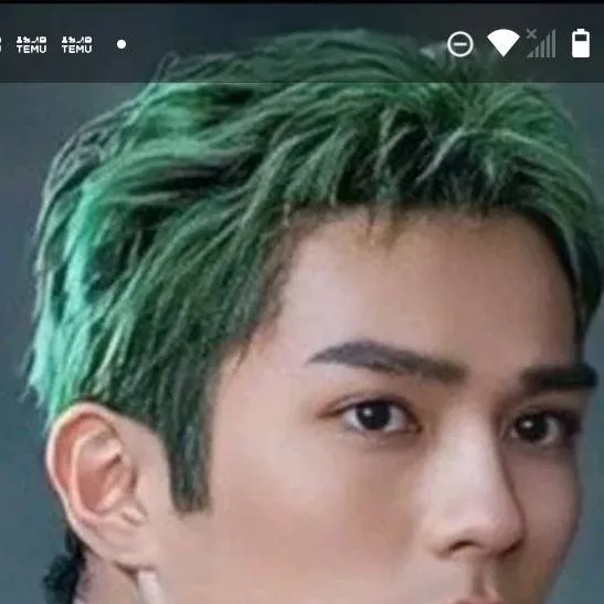 chat with ai character: zoro your boyfrien
