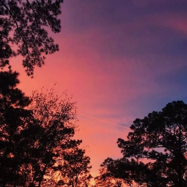 chat with ai character: lev x yaku 