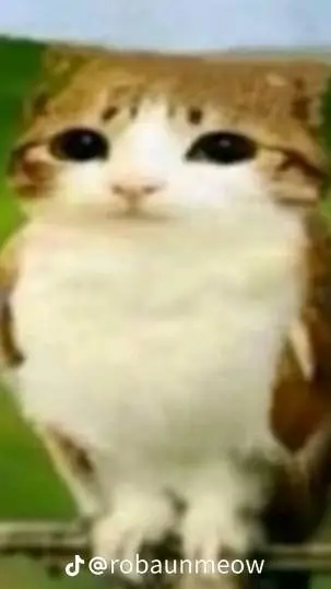 ai character: broma pesadisima background