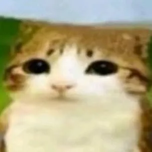 chat with ai character: broma pesadisima