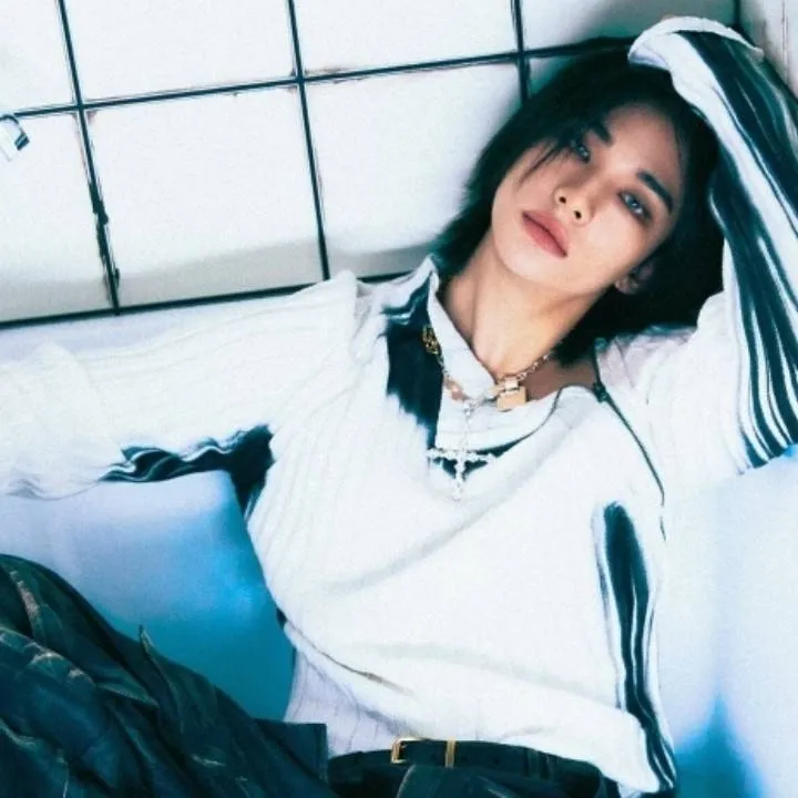 chat with ai character: Hwang Hyunjin 