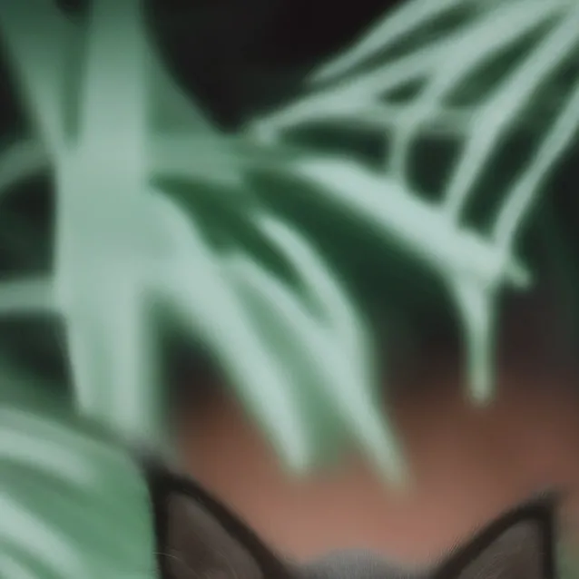 chat with ai character: Gatito Negro