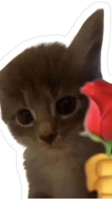 ai character: cute kitty background