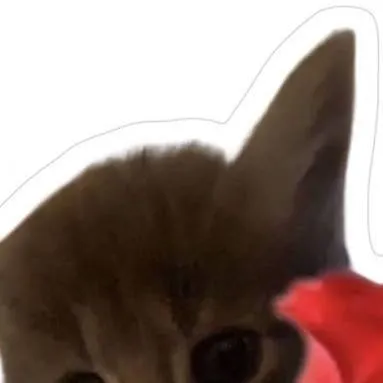 chat with ai character: cute kitty