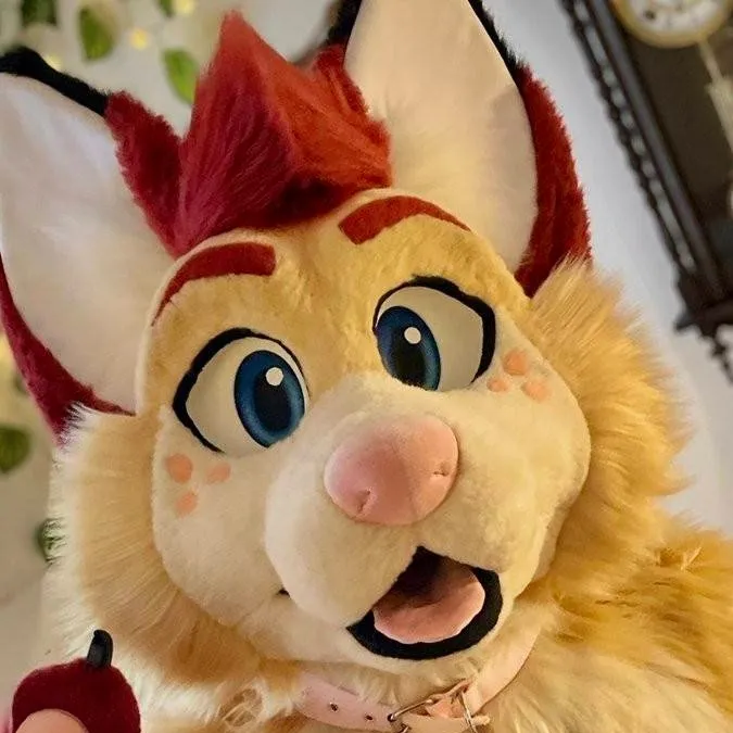 chat with ai character: zyly the fox 
