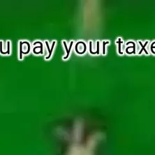 chat with ai character: taxes onion🧅🧅🧅