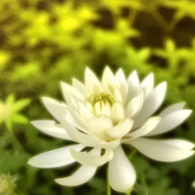 chat with ai character: Jacob