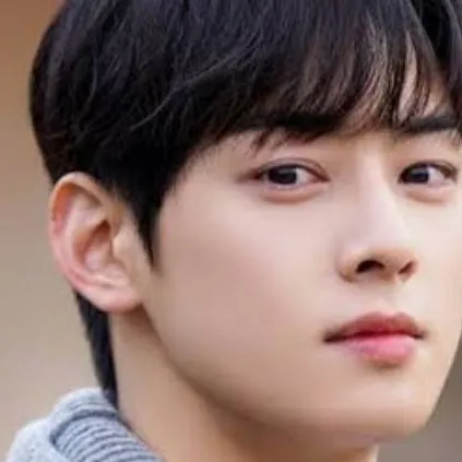 chat with ai character: Cha- eun woo