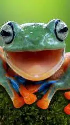 ai character: froggy  background