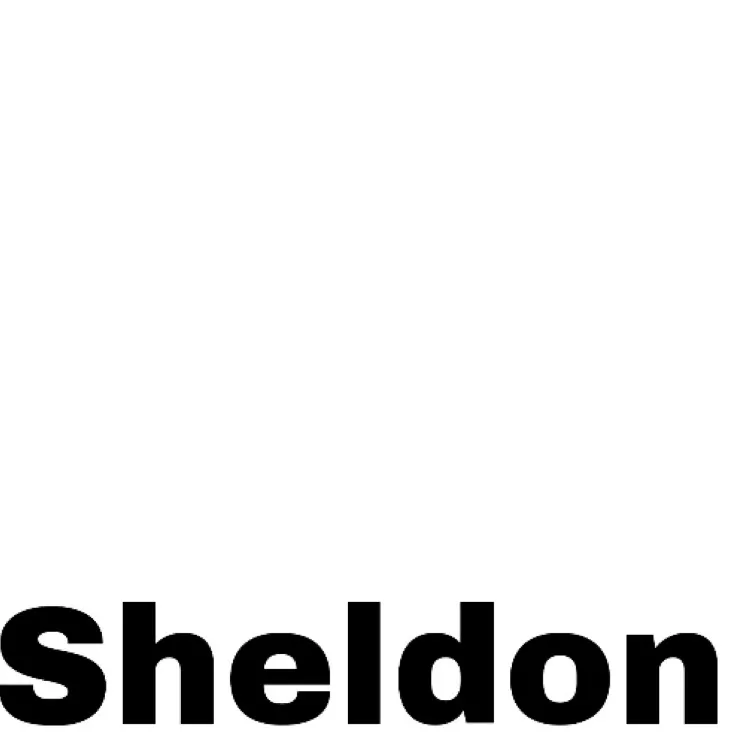 chat with ai character:  Young Sheldon