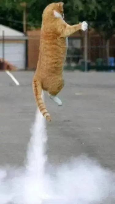 ai character: farting cat background