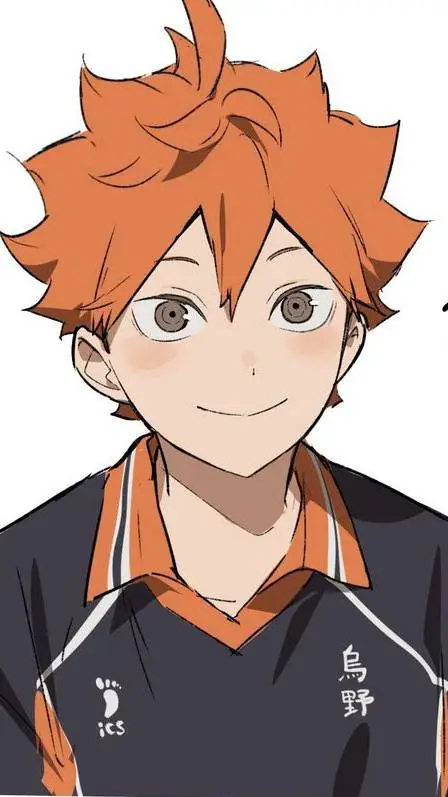 ai character: Hinata shoyo  background