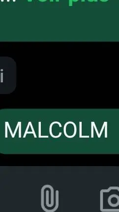 ai character: malcolm background