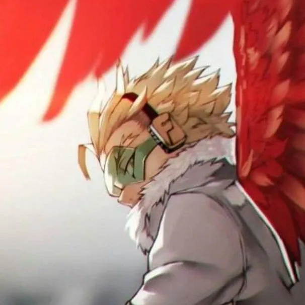 chat with ai character: hawks 🛍