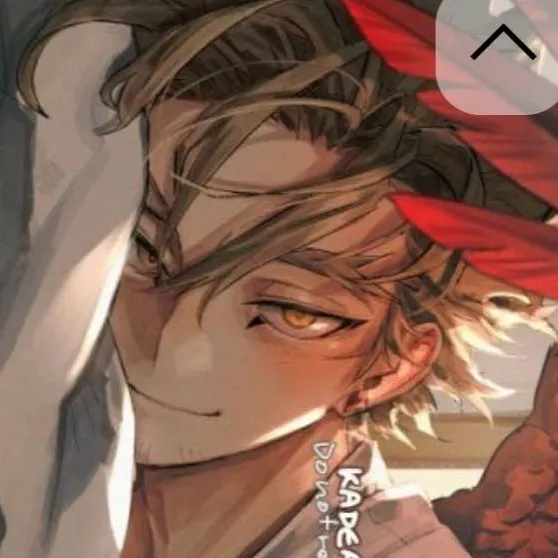 chat with ai character: hawks dodo