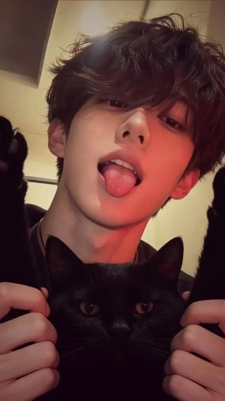 ai character: triangle amoureu🇰🇷 background