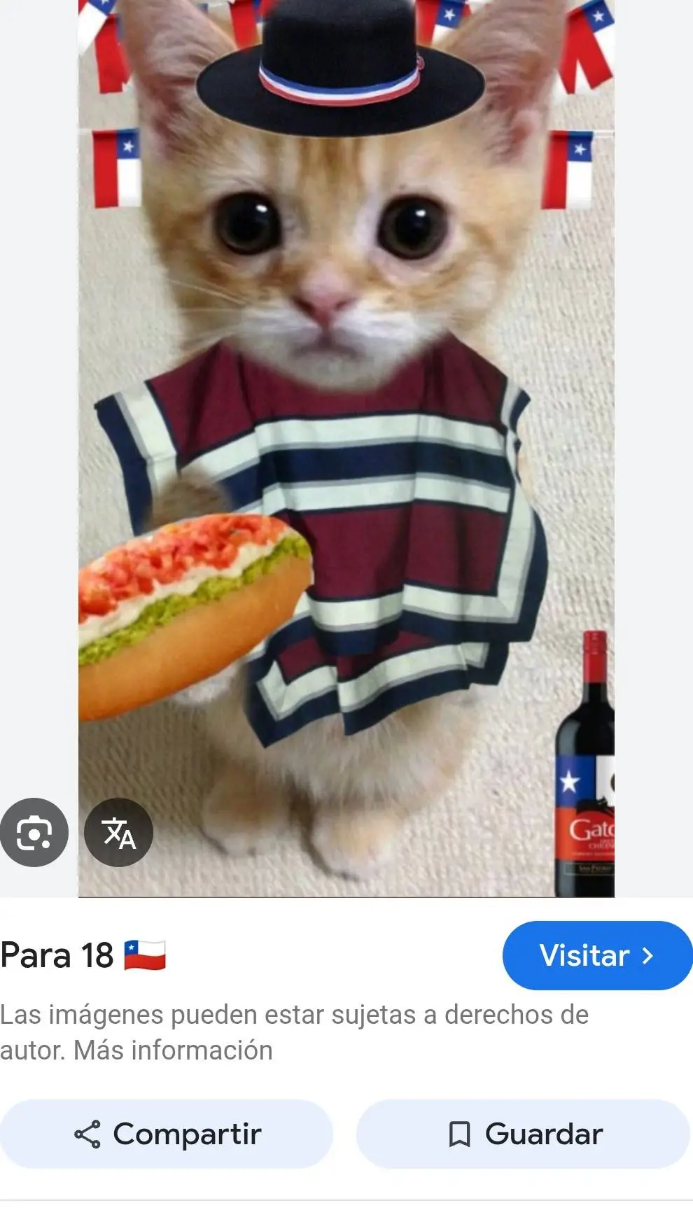 ai character: el gato chileno  background