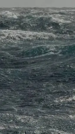 ai character: Mar peligroso background