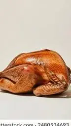 ai character: llego el pavo background