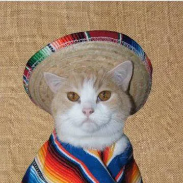 chat with ai character: MEXICAN GATO 2