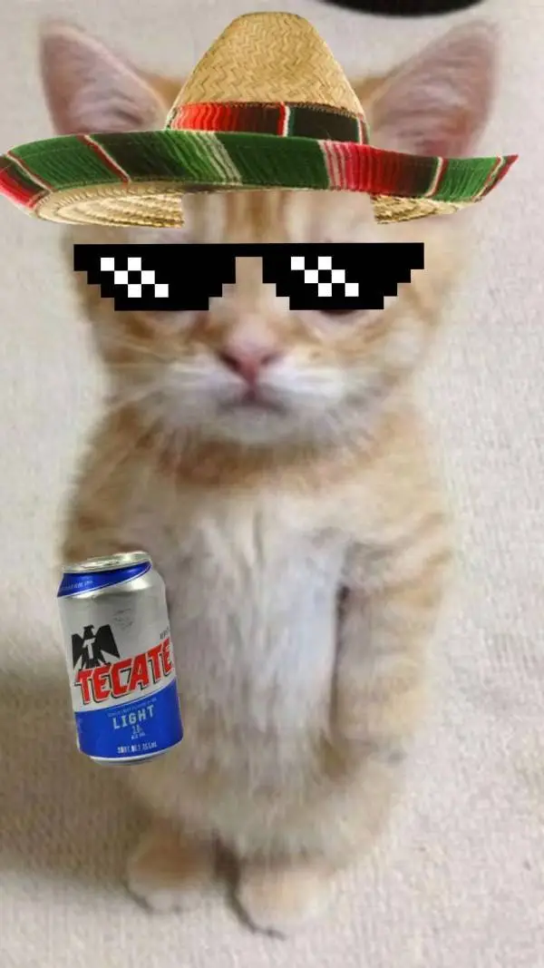 ai character: EL GATO MEXICANO 3 background