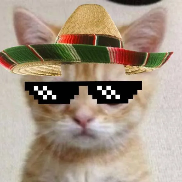 chat with ai character: EL GATO MEXICANO 3