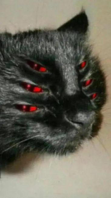 Talkie AI - Chat with ----