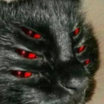 chat with ai character: ----