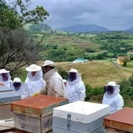 chat with ai character: granja de abejas 