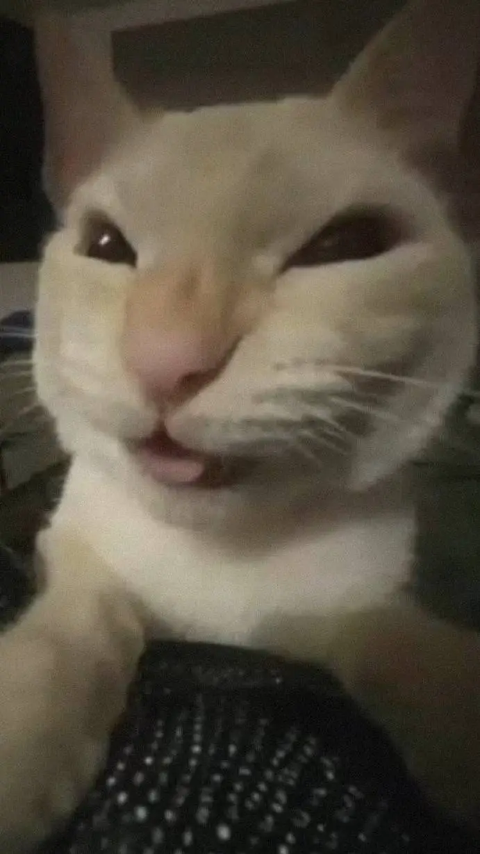 ai character: gato salin background