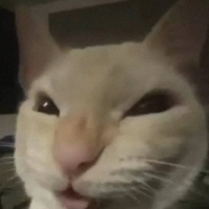 chat with ai character: gato salin