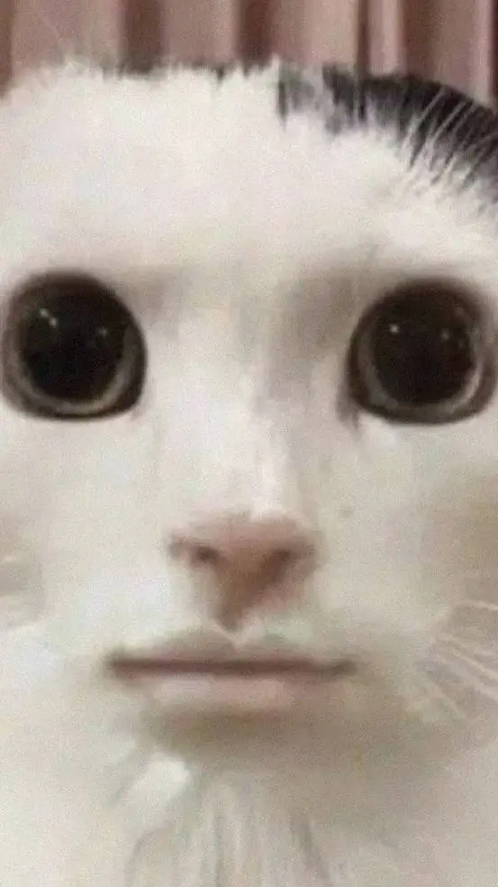 ai character: yadir background