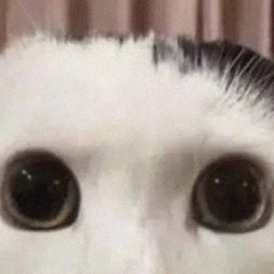 chat with ai character: yadir