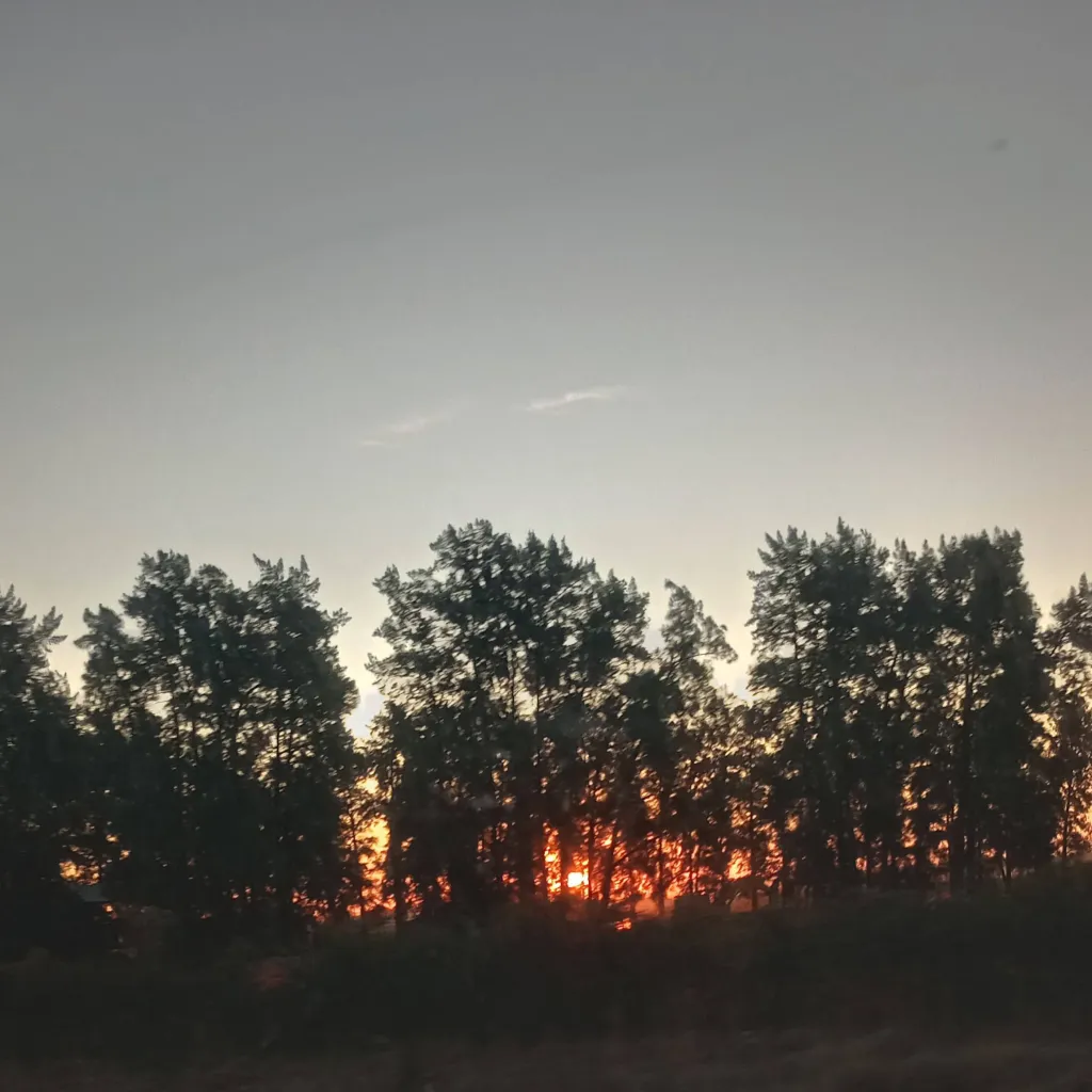 chat with ai character: Miss Mechi 3 