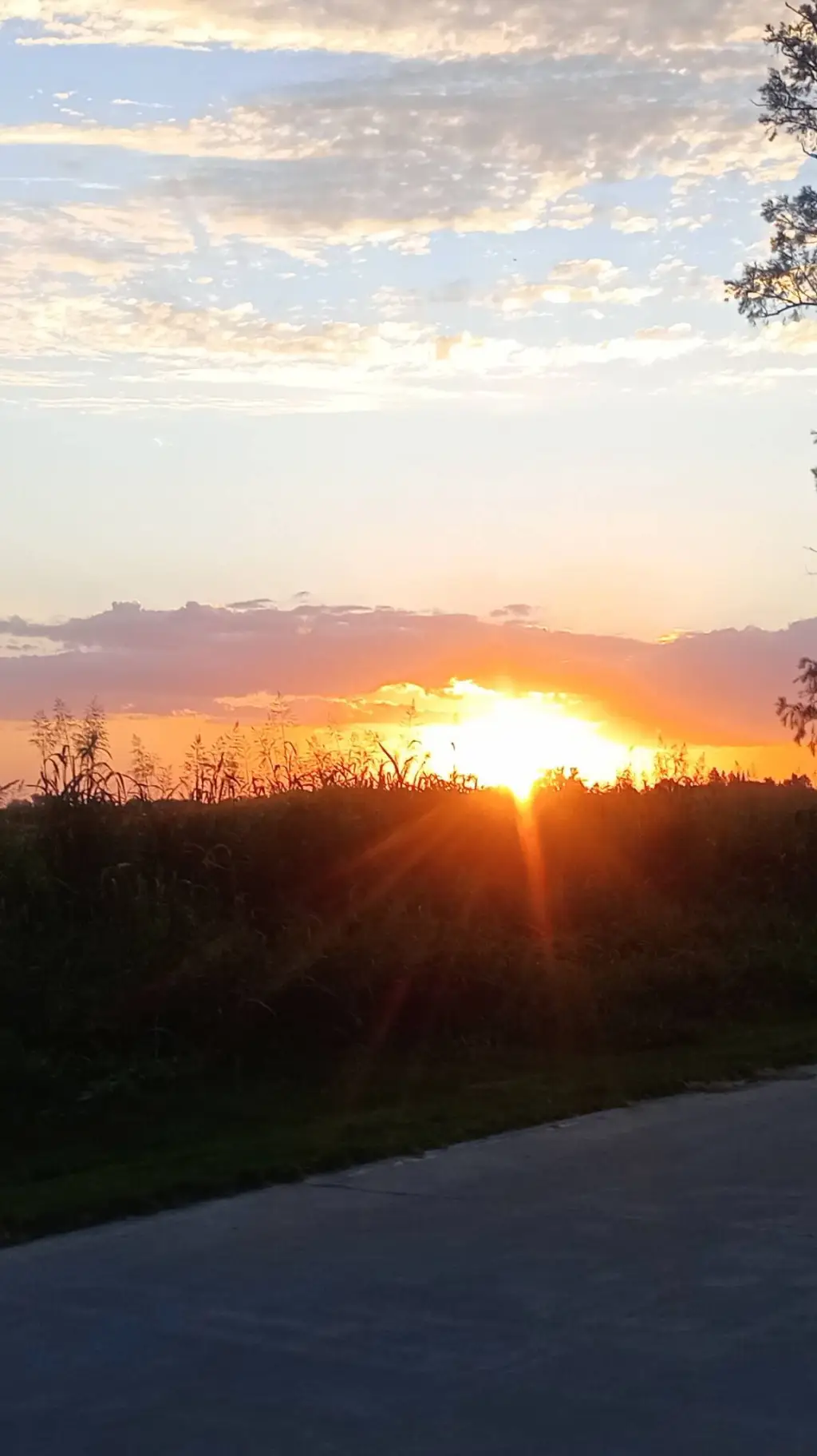 ai character: Miss Flo Ri 2 background