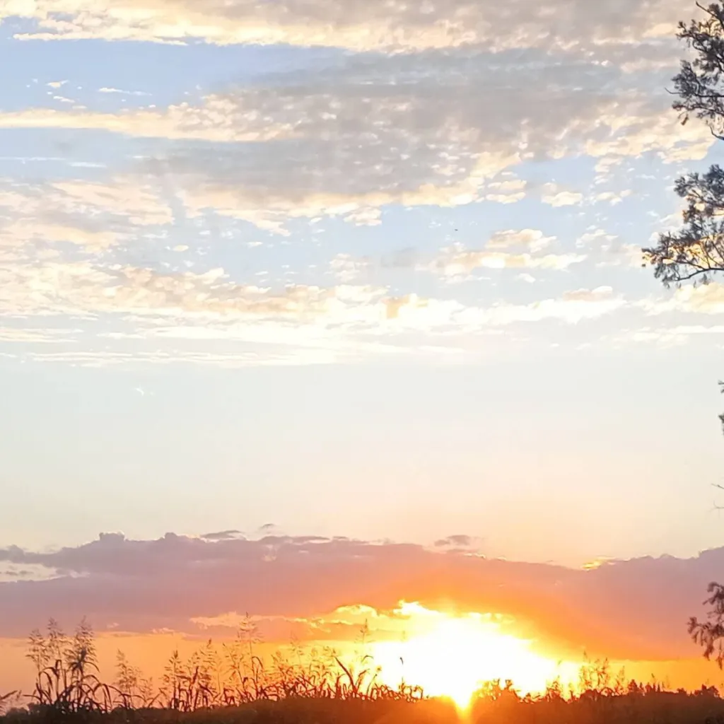 chat with ai character: Miss Flo Ri 2