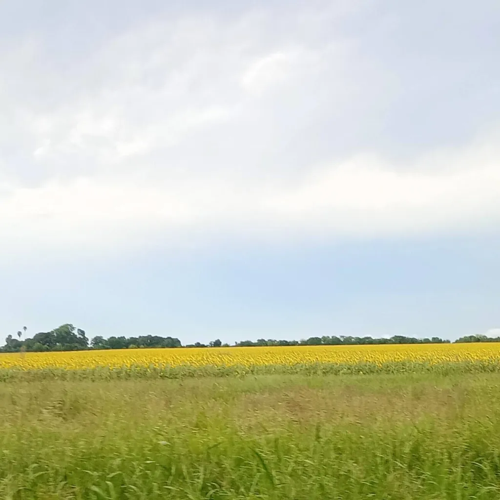 chat with ai character: Miss Mechi 9