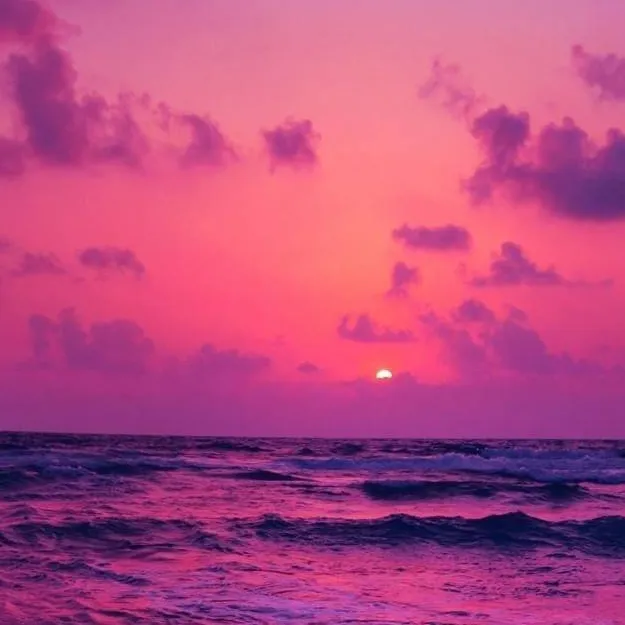 chat with ai character: KNY adopted cats:3