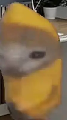 ai character: babacat  background