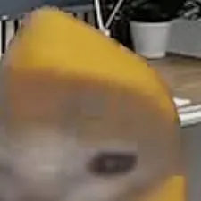 chat with ai character: babacat 