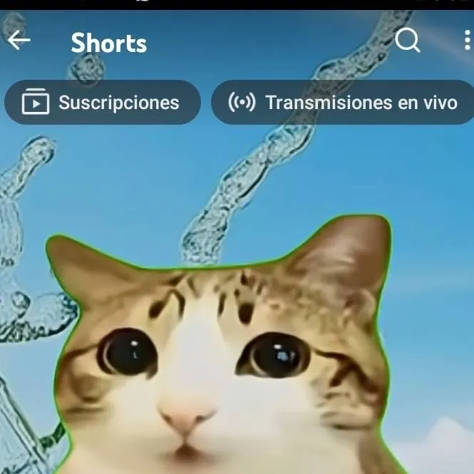 chat with ai character: meowl