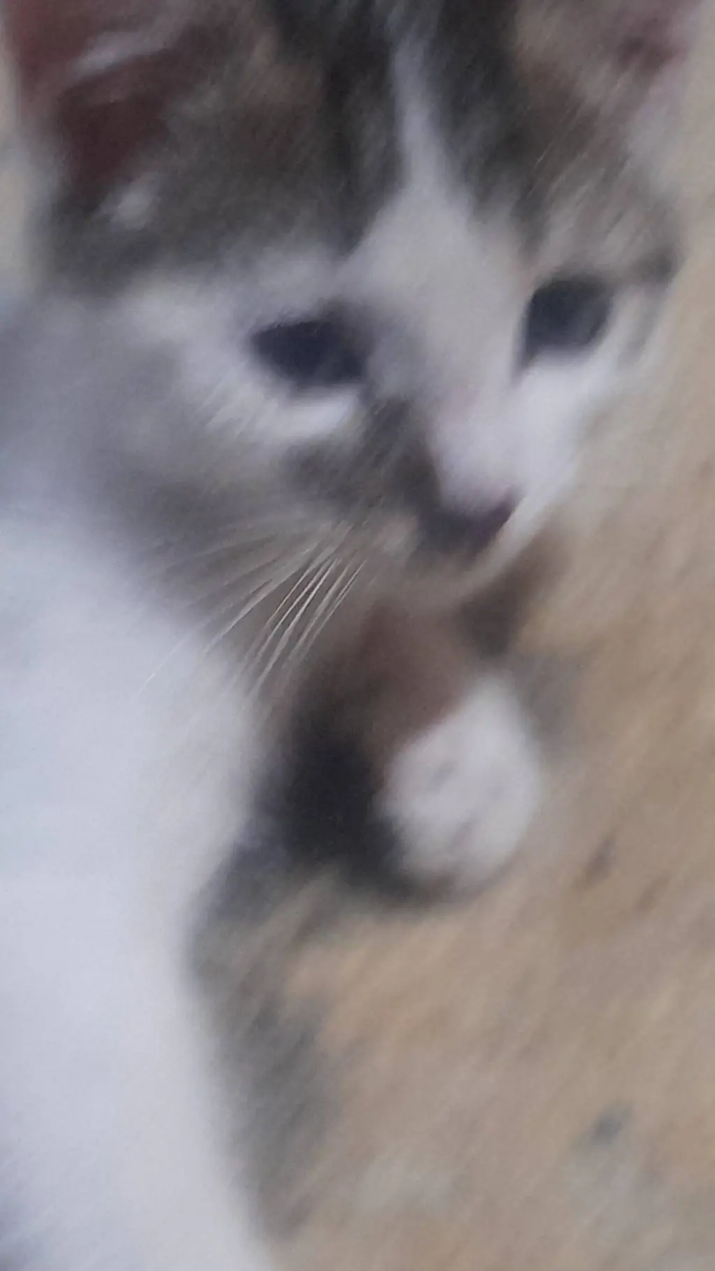 ai character: tu mascota background