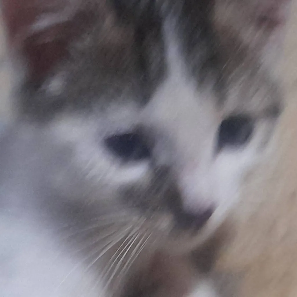 chat with ai character: tu mascota